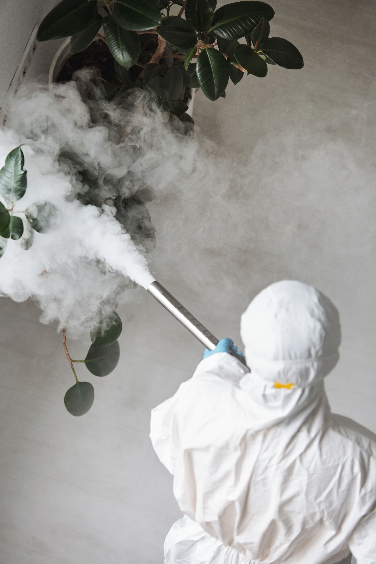 Pest Control & Fumigation